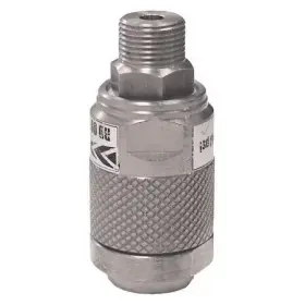 CW212210 A.R. BLUE CLEAN Swivel Npt