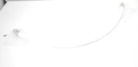 P22095US ACE Sanitary Hose Silicone Covered Tsc Af Flexible