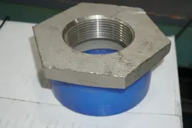 11095 CAMCO Hex Bushing Reducing