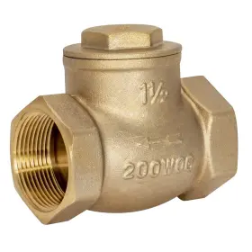 20429LF EASTMAN Swing Check Valve Ips