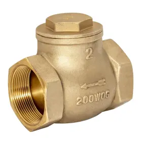 20431LF EASTMAN Swing Check Valve Ips Plumbing Fitting
