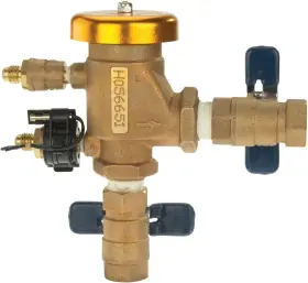 T765CBV FEBCO Pressure Vacuum Breaker