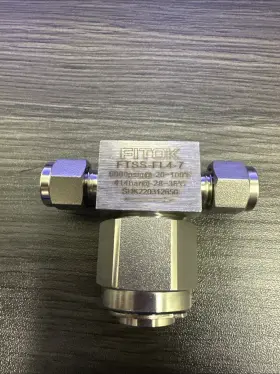 FTSS-FL4-7 FITOK Filter Valve Swagelok