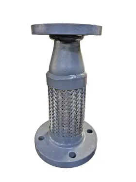 FP3020RFSOFX13 FLEX PIPE USA Concentric Reducing Pump