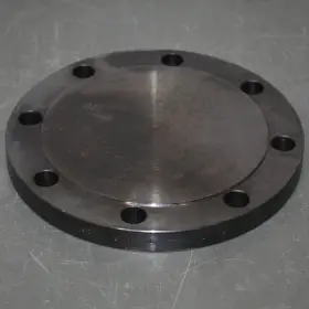 FLCS1RFBL600 GUARDIAN Blind Flange Pipe Od Schedule