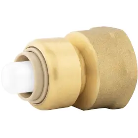 C77423LF JONES STEPHENS Fpt Bagged Plumbite Push