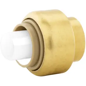 C77451LF JONES STEPHENS Plumbite Push Cap