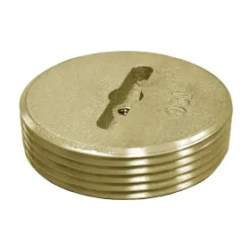P58300 JONES STEPHENS Slot Brs Plug Tap