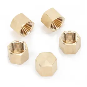 HFLF104605 LTWFITTING Lead Pipe Cap Fittings Female Npt Air