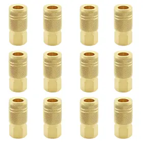 Qidongguan LUNAMOR Air Hose Fittings Female Coupler Np