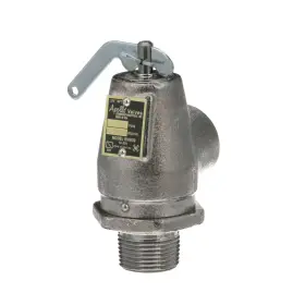 561016 MAVRIK Steam Safety Relief Valve