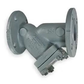 098268354133 MUELLER STEAM SPECIALTY Flanged Ends Cast Carbon
