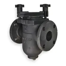155M-N MUELLER STEAM SPECIALTY Iron Body Flanged Basket Pipe