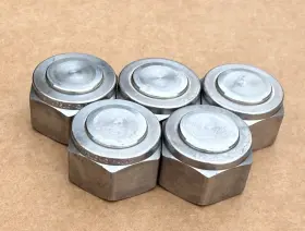 SS-1210-P PARKER Swagelok Steel Plugs