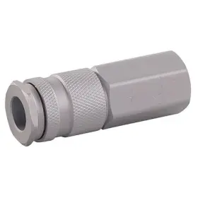 30E623 SPEEDAIRE Coupler Body Npt