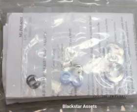 FC-75-LS-017-BG SWAGELOK Seal Kit