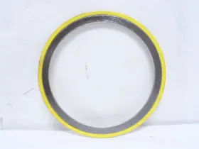 GSW-66C-1500600 TEADIT Spiral Wound Gasket