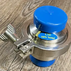 B45MP TRU FLO Sanitary Check Valve Clamp End Nos