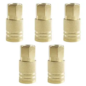 LWJT-FT-419 XHSP Npt Female Air Coupler Compressor Connect