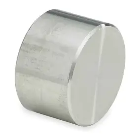 4307004226 ZORO SELECT Socket Weld Cap