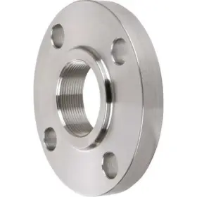 4381001070 ZORO SELECT Fnpt Flange