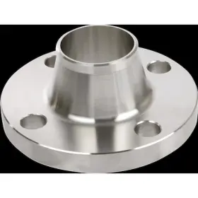 4381004650 ZORO SELECT Welded Weld Neck Flange Sch