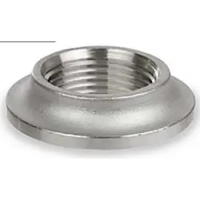 4381047620 ZORO SELECT Weld Spud Fnpt