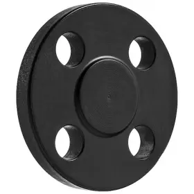 BULK-PF-444 ZORO SELECT Blind Flange Pipe Flanged Steel