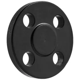 BULK-PF-556 ZORO SELECT Flanged Blind Steel Pipe Flange