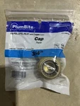 Jones Stephens C77451lf 3/4" Plumbite Push On Cap - Brass. Fixed Price $15.00.