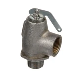 Mavrik 45 Psi 3/4 In Steam Safety Relief Valve. Fixed Price $349.93.