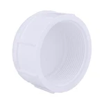 Charlotte Pipe Pvc 02117 2000 Schedule 40 Cap 2-1/2 Fpt Dia. In.. Fixed Price $11.46.