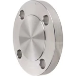 4" Welded Ss Blind Flange, 4381000080. Fixed Price $133.99.