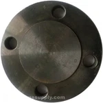 Guardian Worldwide Flcs1rfbl600 Blind Pipe Flange 6" Mfgd. Fixed Price $95.17.