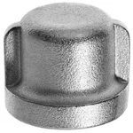 Cap, Stainless Steel, Threaded 1/4 In, Zusa-pf-8241. Fixed Price $8.85.