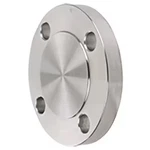 Flange, Stainless Steel, Blind, 5 In, 4381001840. Fixed Price $50.79.