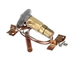 Jade Expansion Valve, Refrigeration 3000010878 - Free Shipping + Geniune Oem. Fixed Price $467.83.