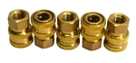 5 Piece Brass Straight Through Interchange Female Coupler 1/4" 2ef2-b. Fixed Price $30.99.