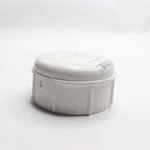 Charlotte Pipe & Foundry Cap Sch 40 Pvc White 2"fpt. Fixed Price $3.12.