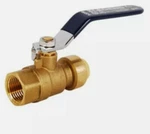 Legend Valve 456-004nl 3/4" P-2200 Fp Ball. Fixed Price $18.99.