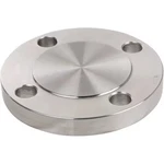 Flange, Stainless Steel, Blind, 10 In, 4381000090. Fixed Price $146.99.