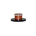 Apollo 10061761 2.5" Press Flange 125# Steel #8741. Fixed Price $157.03.