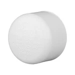 Charlotte Pipe Pvc02116c0600 White Pvc Slip Cap 1/2 In.. Fixed Price $9.78.