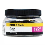 Apollo Fsbcap126jr 1/2 In. Brass Push-to-connect Cap Jar (6-pack), 6pk. Fixed Price $20.35.
