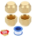 Uxcell 3/4"-16 Unf Brass Flare Cap Hex Pipe Fitting Seal Tube. Fixed Price $27.99.
