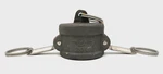 Pt 1001120 Aluminum/hbs Cam And Groove Type V Coupler Dust Cap, 2 In. Fixed Price $18.95.