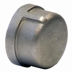 Merit Brass K416-20 Banded Pipe Cap 1-1/4 In Fnpt 150 Lb Stainless Steel. Fixed Price $23.56.