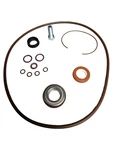 Banjo 2 Inch Poly Pump Viton Seal And O-ring Kit - 12999av. Fixed Price $120.16.
