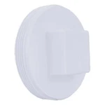Manufacturer Varies Pvc Cleanout Plug, Mnpt, 4 In Pipe Size 1wkh9. Fixed Price $12.92.