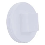 Pvc Cleanout Plug, Mnpt, 4 In Pipe Size, 1wkh9. Fixed Price $4.79.